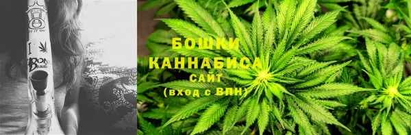 сатива Касимов