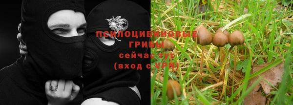 гидра Карталы