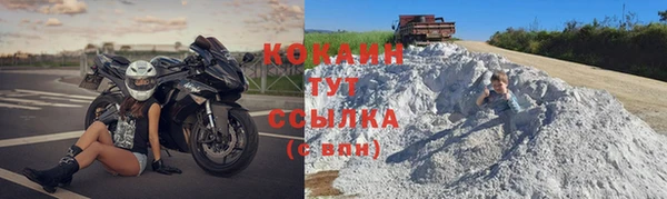 сатива Касимов