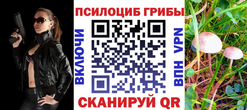 Псилоцибиновые грибы Psilocybe  Купить закладки  Кострома 